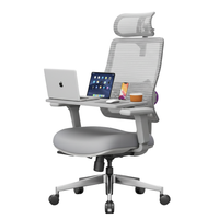 Laptopständer für Stuhl Lumbo A01 Grau