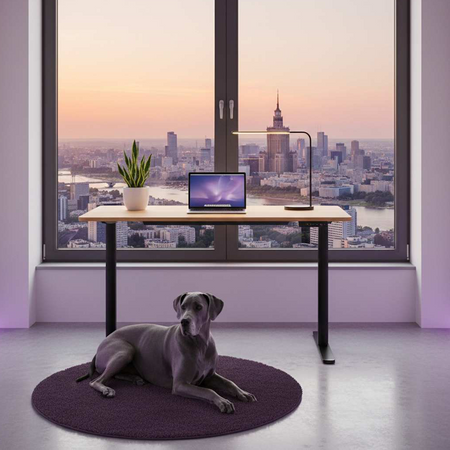 Biurko elektryczne 120×60 z fotelem Springle 44 i lampą biurkową Glow D5