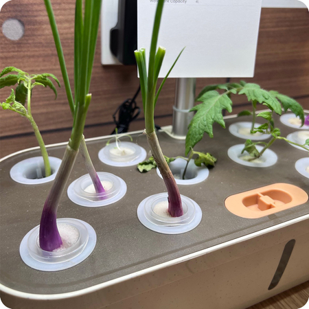 Doniczka do roślin z wyświetlaczem LCD SPGC10S