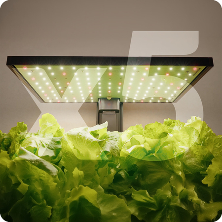 Blumentopf mit LCD-Anzeige SPGC20BC