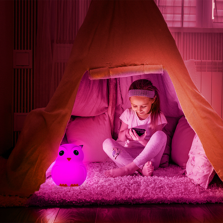 Große Eule RGB-Nachtlicht USB-C-Fernbedienung SP-LN01XL