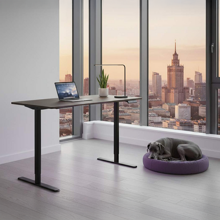 Elektryczne biurko Spacetronik Moris 121BT 120x60