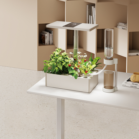 Automatyczny nawadniacz biurkowy SPGC01