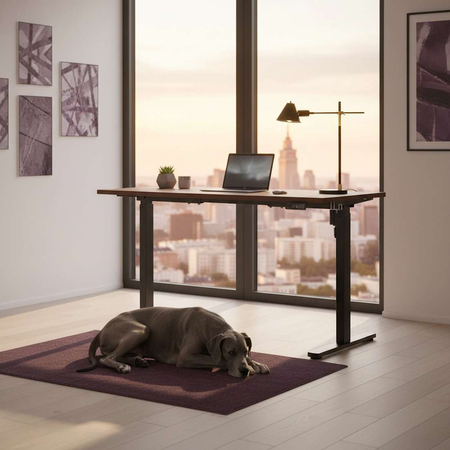 Elektryczny stelaż biurkowy SPE-121B