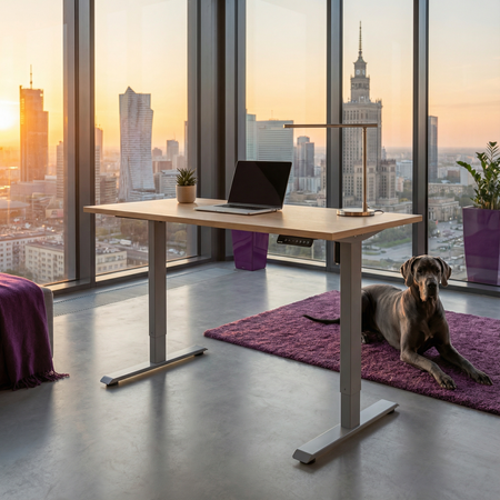 Spacetronik SPE-141G elektrischer Tischständer