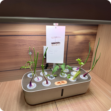 Doniczka do roślin z wyświetlaczem LCD SPGC10B