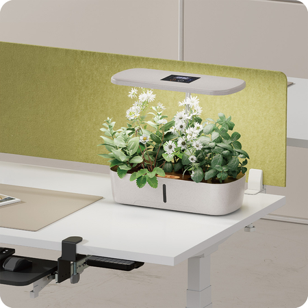 Blumentopf mit LCD-Anzeige SPGC10W