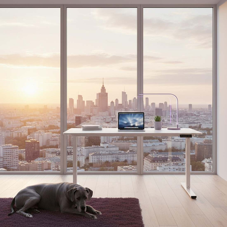 Zestaw ergonomiczny biurko Moris SPE O112WW fotel MENNKAR lampa D22 Pro