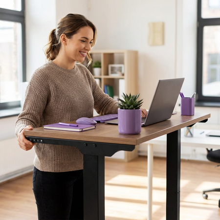 Elektryczny stelaż biurkowy Spacetronik SPE-233B