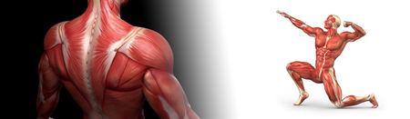 Dodatkowy materiał do Foot Massager SPE-M02