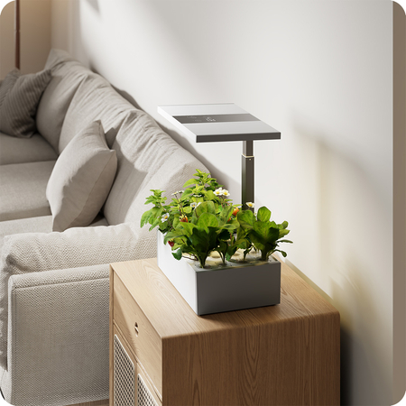 Doniczka do roślin z wyświetlaczem LCD SPGC20WL