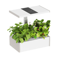 Blumentopf mit LCD-Anzeige SPGC20WL