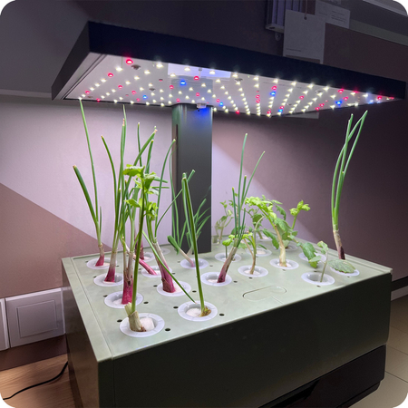 Blumentopf mit LCD-Anzeige SPGC20WL