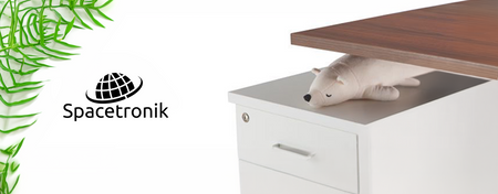 Spacetronik SPE-243LB elektrischer Tischständer