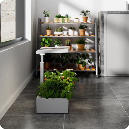 Doniczka do roślin z wyświetlaczem LCD SPGC20WL