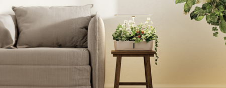 Doniczka do roślin z wyświetlaczem LCD SPGC10B